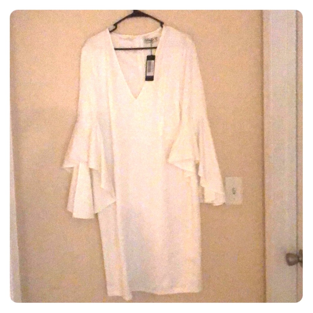 Ruffle-Sleeved Dress